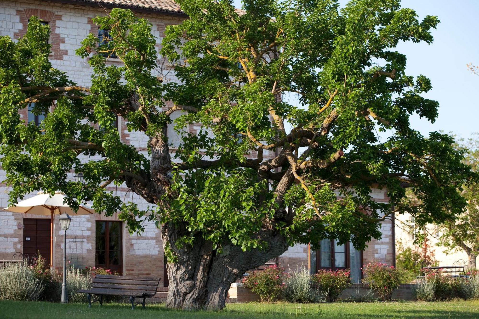 Hotel Parco Ducale Country House Urbania Exterior foto